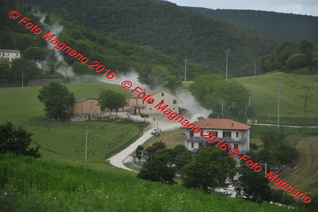DSC_7105.JPG